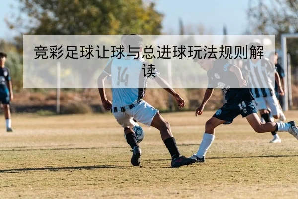 竞彩足球让球与总进球玩法规则解读